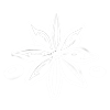 spice-icon-white