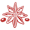 spice-icon