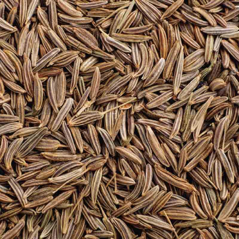Cumin Seeds