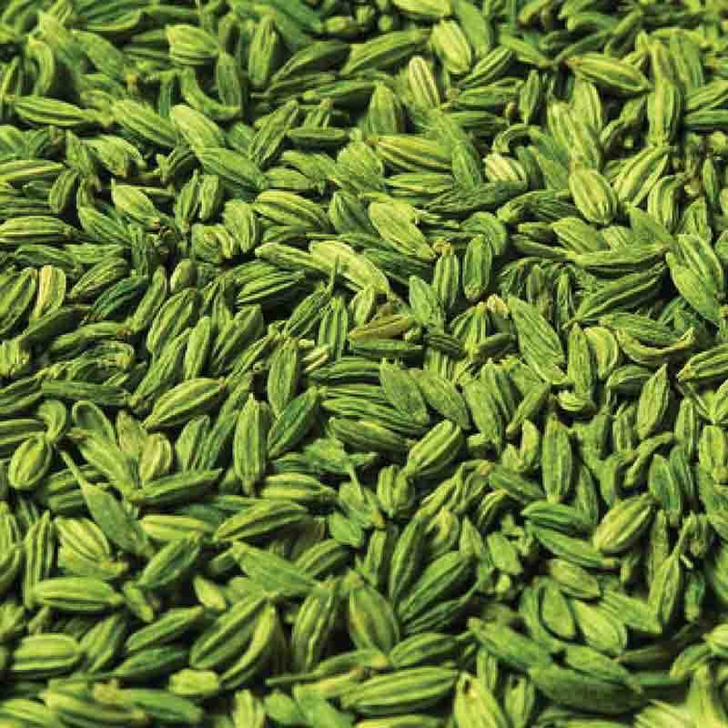 Fennel Seeds