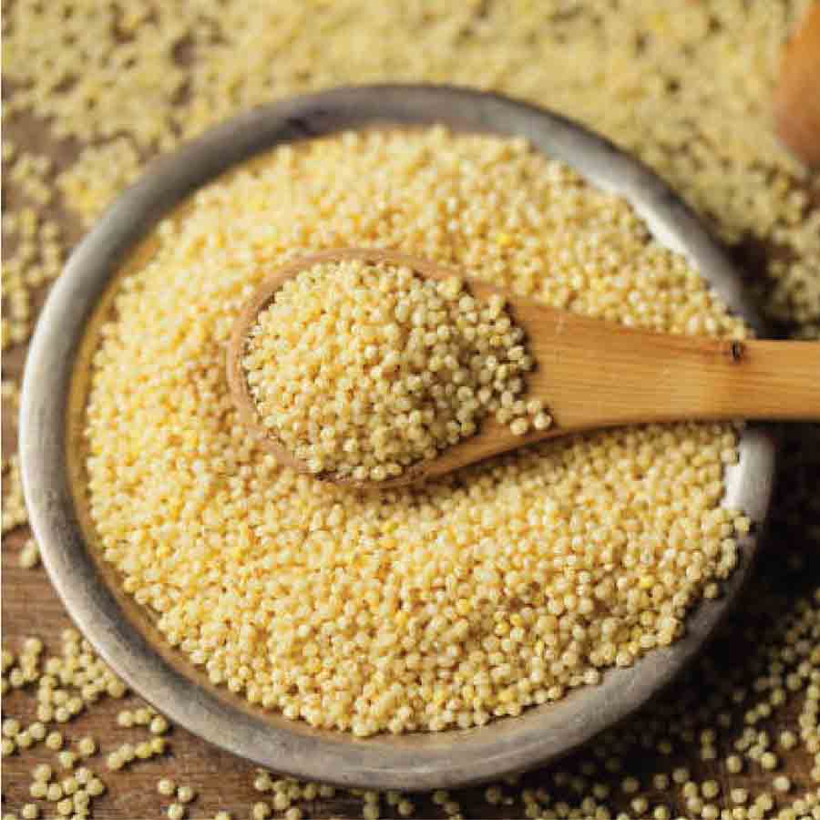 Foxtail Millet