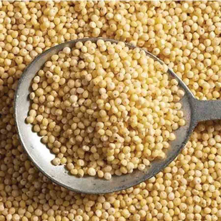 Little Millet