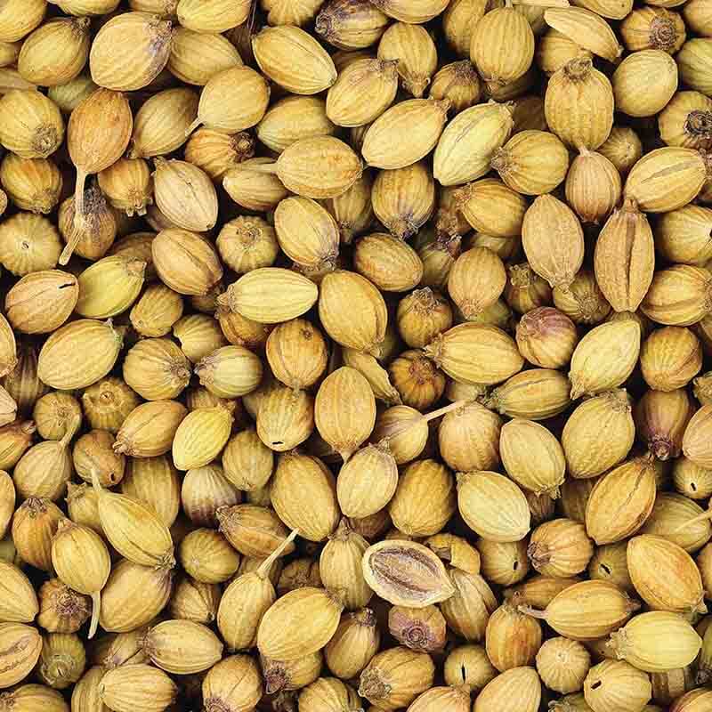coriander seeds