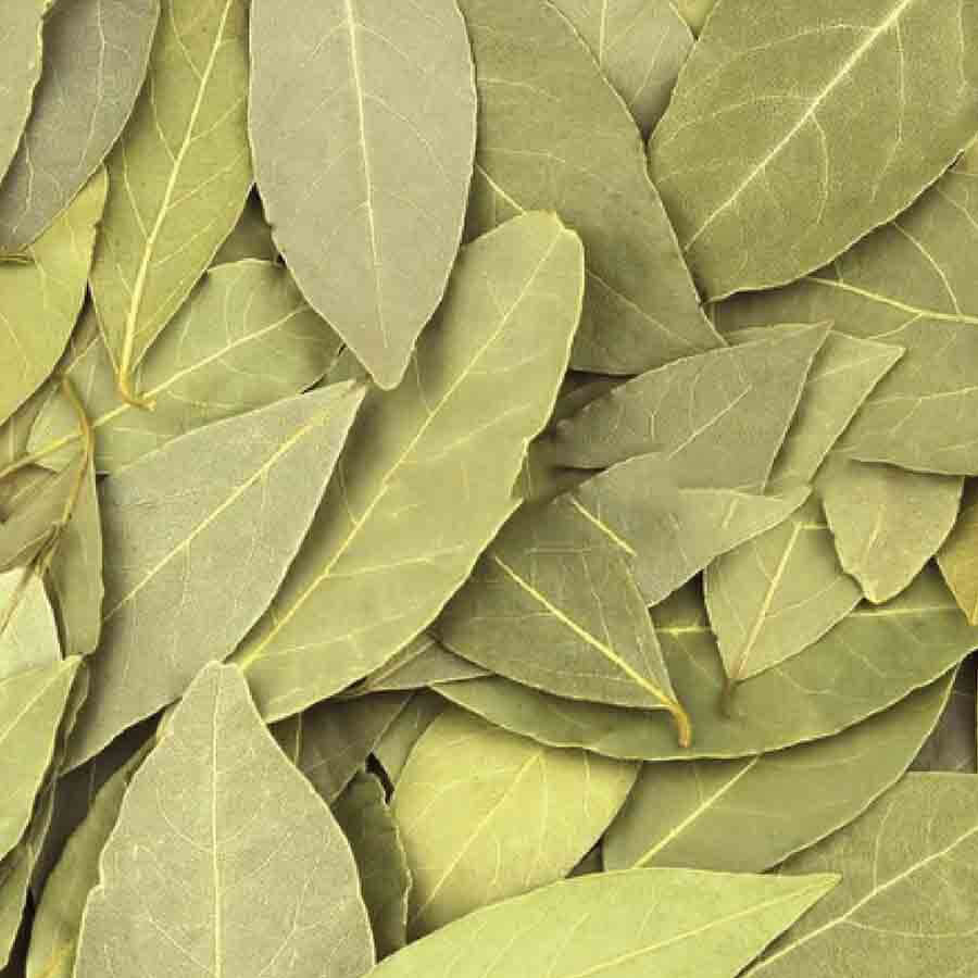 cinnamon leaf