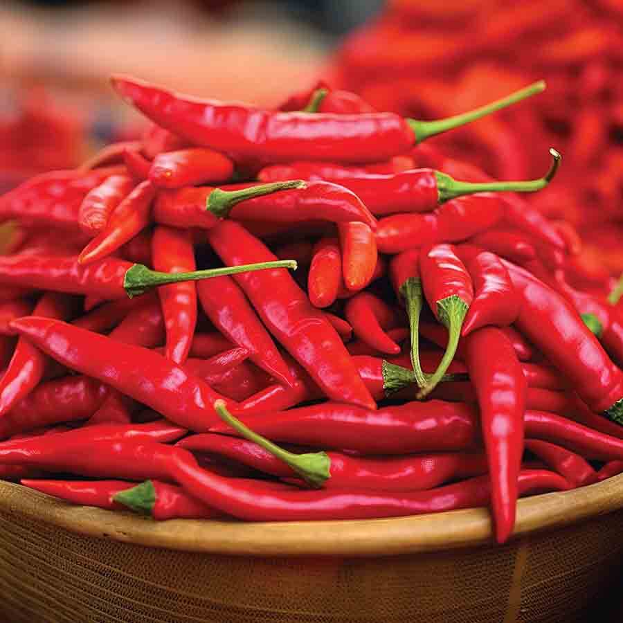 whole red chilly